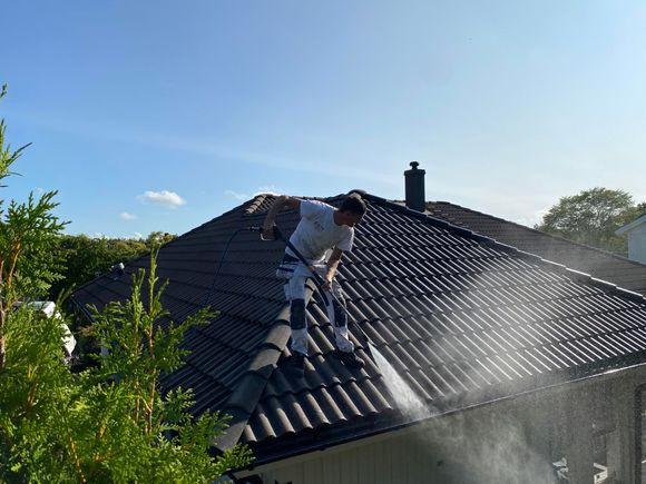 Miljövänlig mossbekämpning tak i Göteborg med omnejd